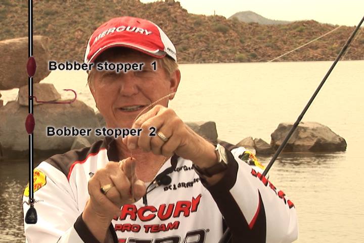 Fishing Tips  Bass Fishing in Arizona