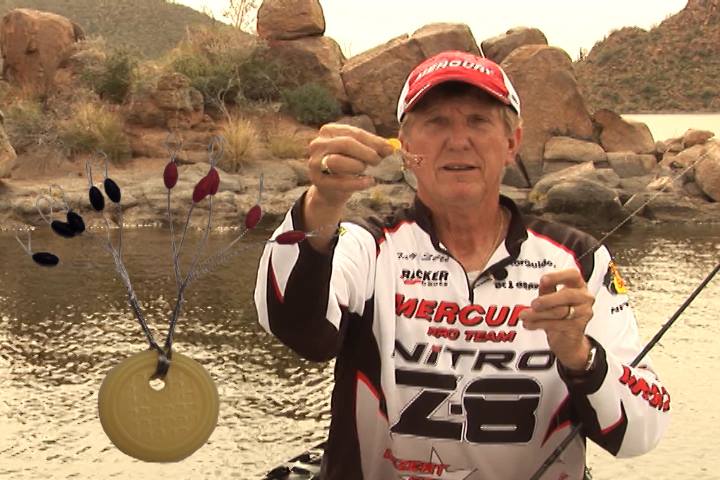 Fishing Tips  Bass Fishing in Arizona