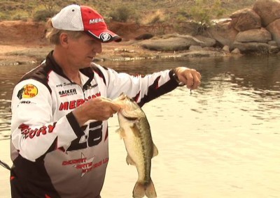 bass fishing in arizona